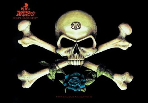 Alchemy Bones&Skull Posterfahne