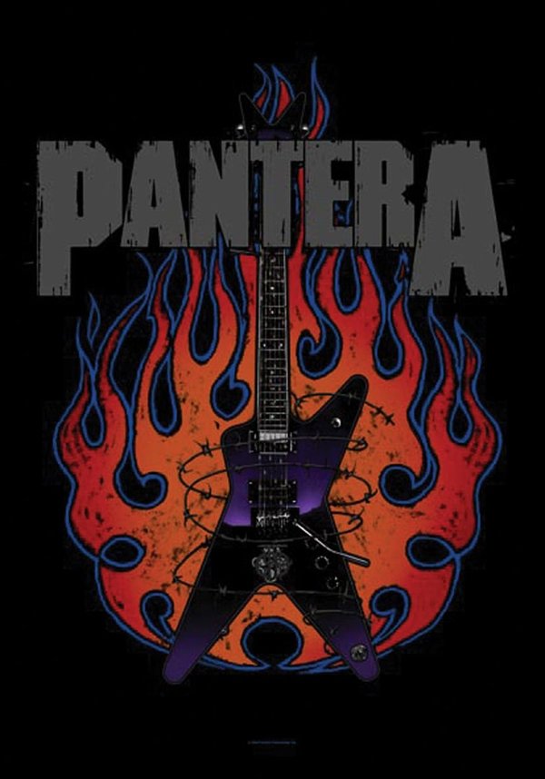 Pantera Guitar Dimebag Posterfahne