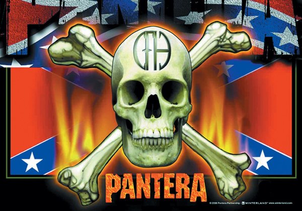 Pantera Skull & Bones Posterfahne